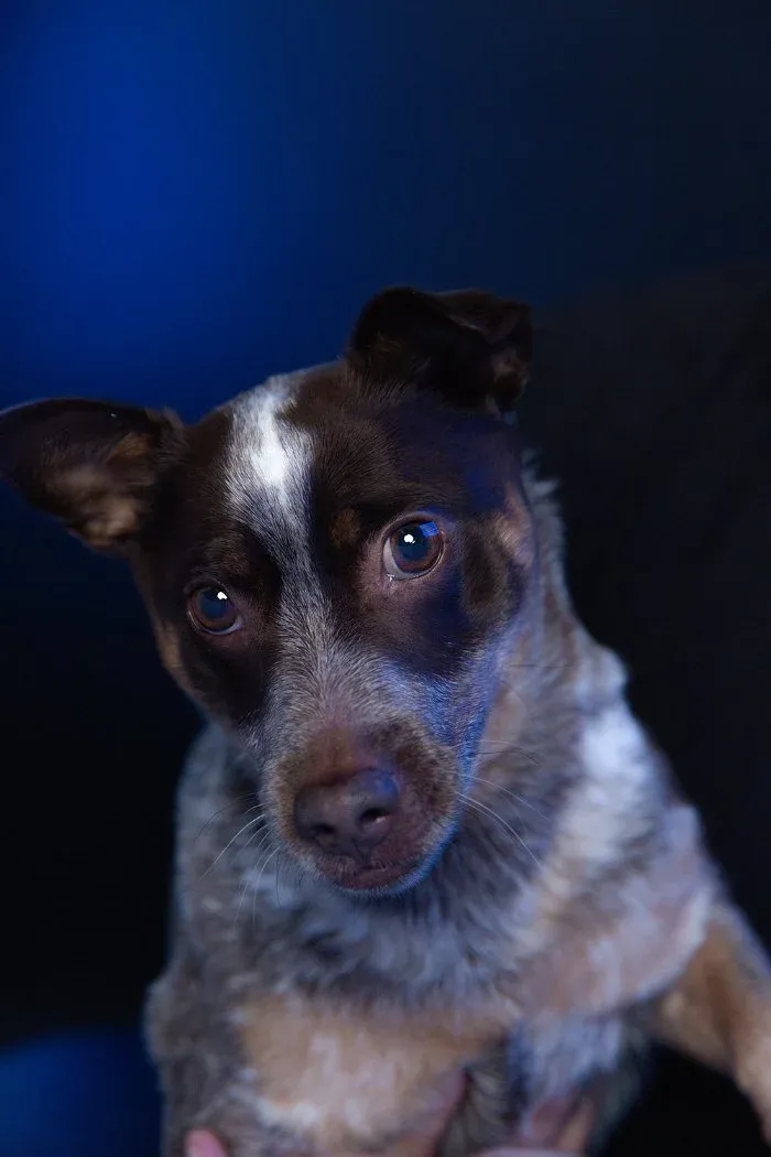 Bryn, a CAYK barketing intern